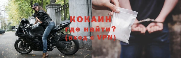 шишки Богородск