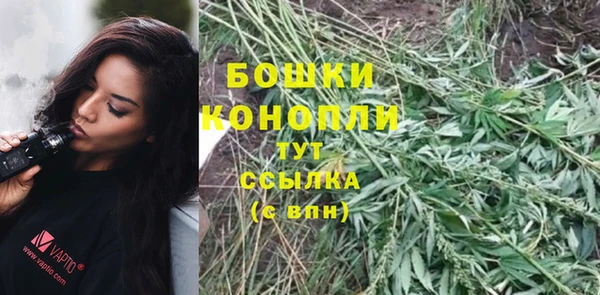 дурь Сатка