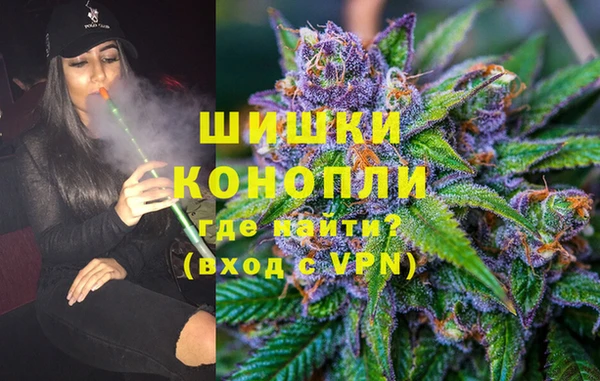 шишки Богородск