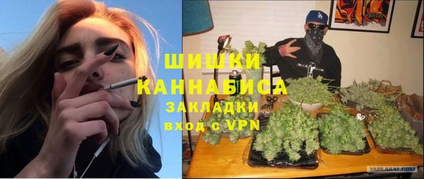 шишки Богородск