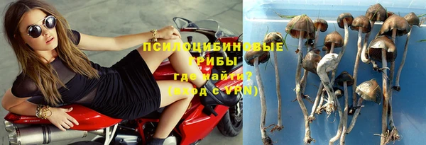 стаф Белоозёрский