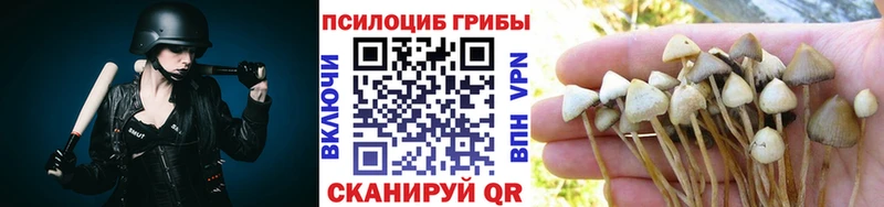 Псилоцибиновые грибы Psilocybe  blacksprut зеркало  Боровичи  наркотики 