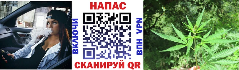 Конопля OG Kush  Боровичи 
